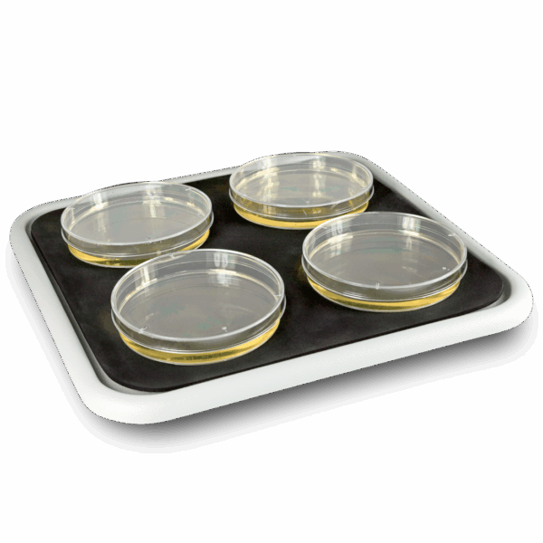 Platform Bio PP-4