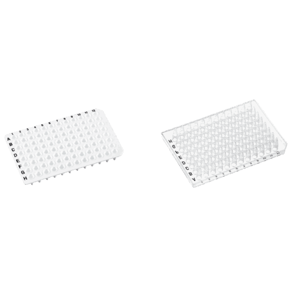 PCR Series - Image 4