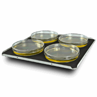 Platform PP-4