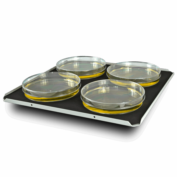 Platform PP-4