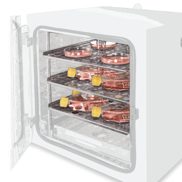 Rack with 3 shelves  RS6