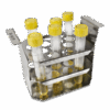 Rack TR-16/19