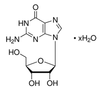 GUANOSINE FOR BIOCHEMISTRY