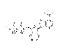 ADENOSINE 5-DIPHOSPHORIC ACID TRISODIUM SALT(ADP)
