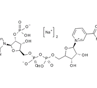 NADP, NICOTINAMIDE ADENINE DINICLEOTIDE PHOSPHATE FOR MICROBIOLOGY