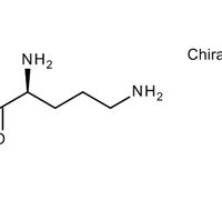 L-ORNITHINE MONOHYDROCHLORIDE 99%LR