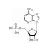 ADENOSINE 5-MONOPHOSPHORIC ACID SODIUM SALT(AMP)