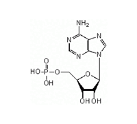 ADENOSINE 5-MONOPHOSPHORIC ACID SODIUM SALT(AMP)