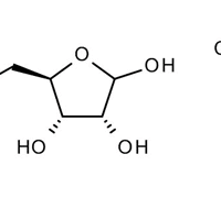 D-RIBOSE  FOR BIOCHEMISTRY