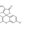 FLUORESCEIN SODIUM SALT FOR MICROSCOPY