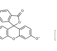 FLUORESCEIN SODIUM SALT FOR MICROSCOPY
