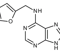 KINETINE PURISS CHR LR