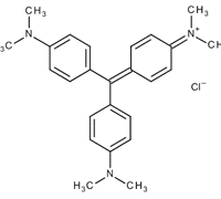CRYSTAL VIOLET FOR MICROSCOPY