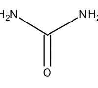 UREA FOR BIOCHEMISTRY