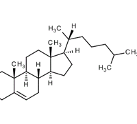 CHOLESTEROL AR