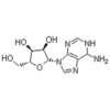 ADENOSINE FOR BIOCHEMISTRY