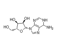 ADENOSINE FOR BIOCHEMISTRY