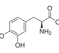 L-DOPA (L-3,4-dihydroxyphenylalanine) FOR BIOCHEMISTRY