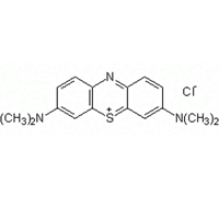 METHYLENE BLUE FOR MICROSCOPY