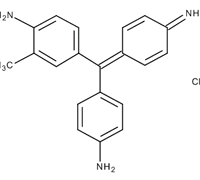 FUCHSIN BASIC FOR MICROSCOPY