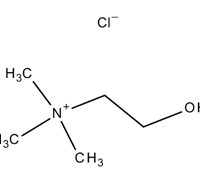 CHOLINE CHLORIDE LR