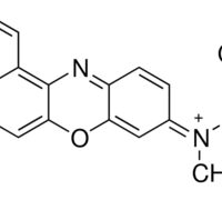 FAST BLUE 3R (NAPHTHOL BLUE ) FOR MICROSCOPY