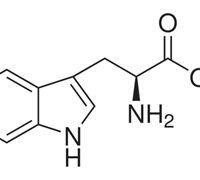 L-TRYPTOPHAN FOR BIOCHEMISTRY