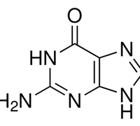 GUANINE FOR BIOCHEMISTRY