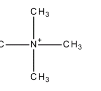 TETRAMETHYL AMMONIUM CHLORIDE FOR SYNTHESIS