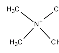 TETRAMETHYL AMMONIUM IODIDE AR