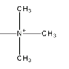 TETRAMETHYL AMMONIUM HYDROXIDE SOLUTION 25% LR