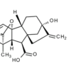 GIBBERELLIC ACID AR