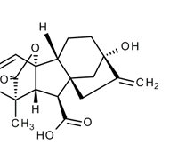 GIBBERELLIC ACID AR