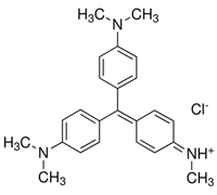 METHYL VIOLET FOR MICROSCOPY