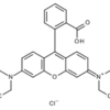 RHODAMINE B  FOR MICROSCOPY