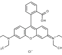 RHODAMINE B  FOR MICROSCOPY