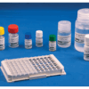 BioKits BLG Assay Kit