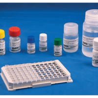 BioKits BLG Assay Kit