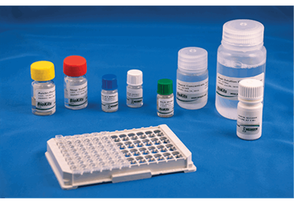 BioKits BLG Assay Kit