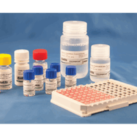 BioKits Walnut Assay Kit