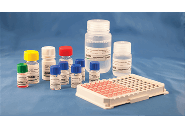 BioKits Walnut Assay Kit