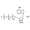 ADENOSINE 5-TRIPHOSPHORIC ACID DISODIUM SALT(ATP)