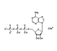 ADENOSINE 5-TRIPHOSPHORIC ACID DISODIUM SALT(ATP)